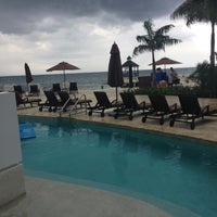 lounge preferred orchid secrets wild club