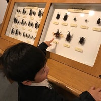 Photo taken at Ishikawa Insect Museum by Yousuke H. on 10/29/2017