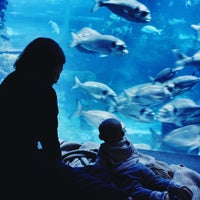 Photo taken at Aquarium by Nika on 10/7/2022