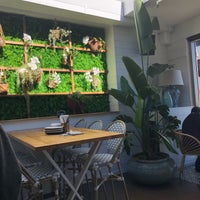 Shelbourne Hotel Sydney City Center 20 Tips From 1274 Visitors