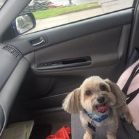 fairleigh animal hospital bardstown road