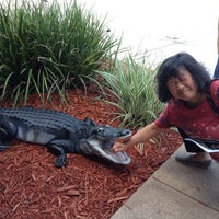 Photo taken at Visit Central Florida by Michelle R. on 12/17/2012
