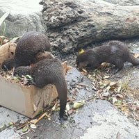 Das Foto wurde bei Wellington Zoo von Glen T. am 1/28/2017 aufgenommen