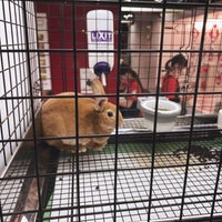 うさぎのしっぽ恵比寿店 渋谷区 6 Tips From 5 Visitors