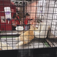 うさぎのしっぽ恵比寿店 渋谷区 6 Tips From 5 Visitors