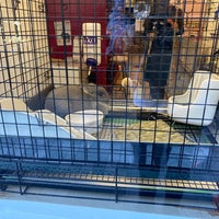 うさぎのしっぽ恵比寿店 渋谷区 2人の訪問者 から 6個のtips 件 うさぎのしっぽ恵比寿店 渋谷区 2人の訪問者 から 6個のtips 件