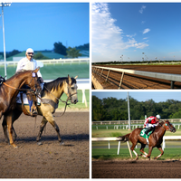 Foto diambil di Remington Park- Henry Hudsons oleh Remington Park- Henry Hudsons pada 10/16/2014