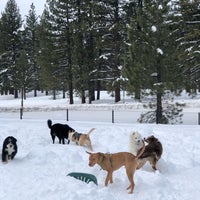 Photo taken at Bijou Dog Park by Shirley L. on 2/24/2019