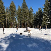 Photo taken at Bijou Dog Park by Shirley L. on 2/24/2019