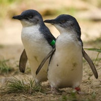 Снимок сделан в National Zoo &amp;amp; Aquarium пользователем National Zoo &amp;amp; Aquarium 8/13/2016