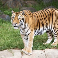 Das Foto wurde bei National Zoo &amp;amp; Aquarium von National Zoo &amp;amp; Aquarium am 8/13/2016 aufgenommen