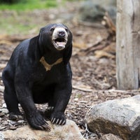 Photo prise au National Zoo &amp;amp; Aquarium par National Zoo &amp;amp; Aquarium le8/13/2016