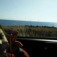 久能街道海岸線 いちご海岸通り 久能街道海岸線 いちご海岸通り