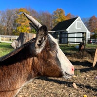 Photo taken at Harvest Moon Farm and Orchard by Max S. on 11/6/2021