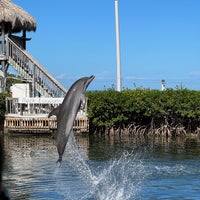 Photo taken at Dolphin Research Center by Max S. on 12/26/2021