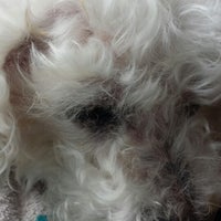 Photo taken at Dr. Domotor&amp;#39;s Animal House Veterinary Hospital by Melody Faith C. on 7/27/2014