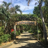 宮古島市熱帯植物園 1 Tip From 184 Visitors