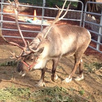 Photo taken at Reindeer by David H. on 11/18/2012