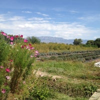 Photo taken at Los Poblanos Organics Farm by Megan on 9/23/2012