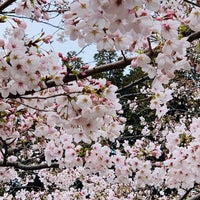 Photo taken at Hibiya Park by Hiro on 3/30/2019