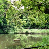 Photo taken at 鴨池公園 by みこ on 5/6/2021