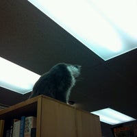 9/15/2012 tarihinde Bethany C.ziyaretçi tarafından Haunted Bookshop'de çekilen fotoğraf