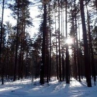 Photo taken at Динамо лыжня by wolfflowster Е. on 2/3/2013