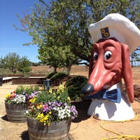 Photo taken at Vino Noceto Winery by Lisa H. on 4/19/2013