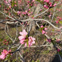 Photo taken at Samara Botanical Garden by Draco M. on 4/29/2021