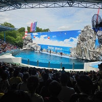 Photo taken at Dolphin Show by Nutty P. on 8/27/2023