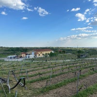 Photo taken at Vino Dessera Vineyards by Gizem D. on 4/14/2024