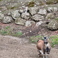 Photo taken at Zoo Salzburg by Afiq on 2/3/2023