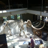 Photo taken at Natural History Museum of Los Angeles County by Vika on 4/21/2013