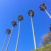 Foto diambil di Jardins do Palácio de Cristal oleh CAssis pada 12/29/2012