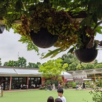 Share Green Minami Aoyama 青山 東京 東京都