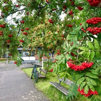 9/17/2017にRuslan G.がFinnhostel Lappeenrantaで撮った写真