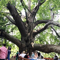 Photo taken at Tarihi Doğu Çınarı by HİLAL Ö. on 7/8/2018