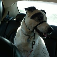Creature Comforts Veterinary Hospital 3 Tips From 131 Visitors