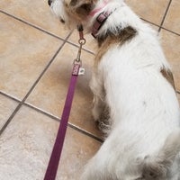 Creature Comforts Veterinary Hospital 3 Tips From 131 Visitors