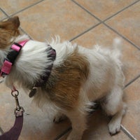 Creature Comforts Veterinary Hospital 3 Tips From 131 Visitors