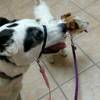 Creature Comforts Veterinary Hospital 3 Tips From 131 Visitors