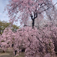 Photo taken at Gokoku-ji Temple by ud0806 on 4/7/2024