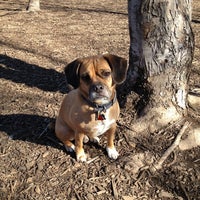 Photo taken at Frenchtown Dog Park by CJ B. on 1/8/2013