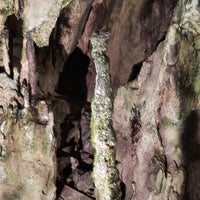 Photo taken at Nippara Shonyudo Cave by しん on 8/14/2023