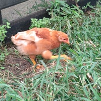 ユニバーサル園芸社 Garden Center In Ibaraki