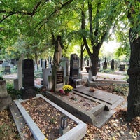 Photo taken at Vinohrady Cemetery by Veronika K. on 9/30/2023