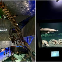 Foto diambil di National Aquarium oleh Aaron pada 10/15/2023