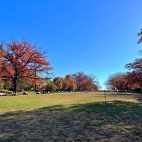 Photo taken at Meridian Hill Park by Aaron on 11/20/2023