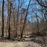 Photo taken at Normanstone Trail by Aaron on 2/4/2024