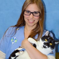 baldwin animal hospital milburn
